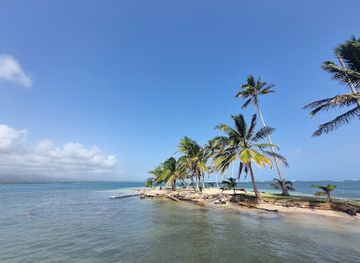 panama/guna-yala/attraction/hector-s-san-blas-experience