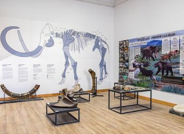 hungary/mecsek/attraction/natural-history-museum