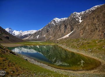 pakistan/shandur-top/attraction/golain-jungle