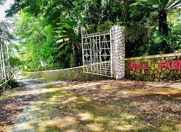 jamaica/cornwall-county/attraction/animal-farm-nature-reserve
