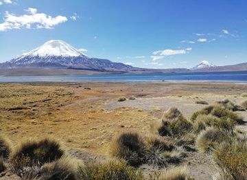 chile/arica/attraction/lauca-park