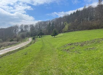 slovakia/zilina/attraction/borovica-pod-kucerovkou