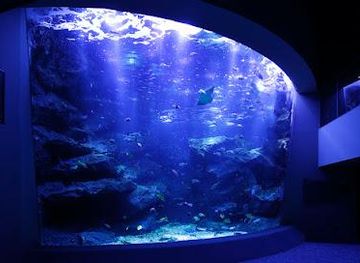 japan/tokyo/attraction/sumida-aquarium