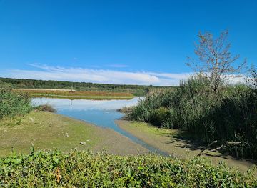 belgium/ardennes/attraction/aquascope-virelles