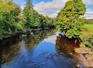 ireland/county-donegal/attraction/drumboe-woods