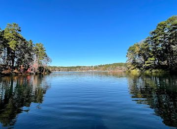 texas/east-texas/attraction/tyler-state-park