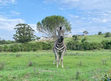 Kragga Kamma Game Park