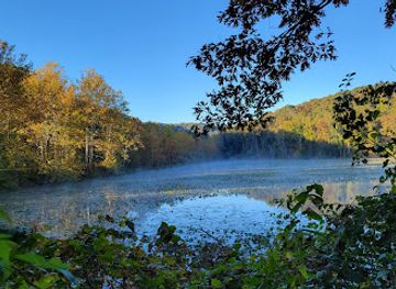 ohio/wayne-national-forest/attraction/zaleski-state-forest