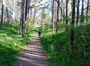 latvia/gauja-national-park/attraction/piejuras-dabas-parks