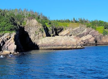 canada/avalon-peninsula/attraction/o-brien-s-whale-and-bird-tours