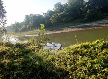 india/kaziranga-national-park/attraction/wild-tour-kaziranga