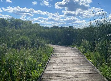 minnesota/big-woods/attraction/tamarack-nature-preserve