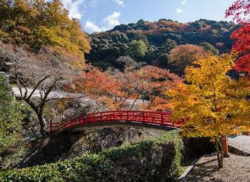 japan/nara/attraction/ryuan-ji