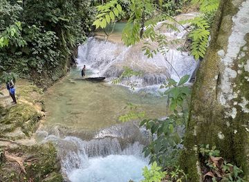 jamaica/cornwall-county/attraction/venture-river-falls-farm-tour-campsite