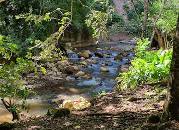 honduras/lempira-region/attraction/macaw-mountain-bird-park
