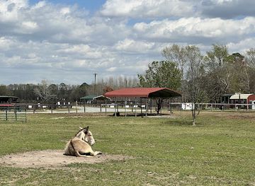 north-carolina/high-country/attraction/sweet-valley-ranch