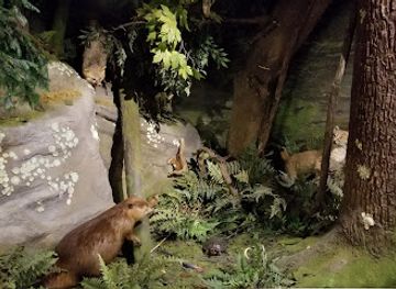 delaware/the-delaware-water-gap/attraction/schisler-museum-and-mcmunn-planetarium