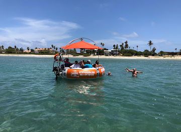aruba/california-lighthouse/attraction/octopus-aruba-sailing-snorkeling-sunset-private-tours