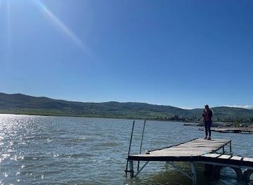 georgia/gori/attraction/bazaleti-lake