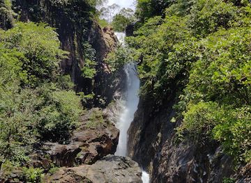 thailand/koh-chang/attraction/national-park-protection-unit-khlong-phlu