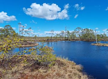 estonia/parnumaa/attraction/rannametsa-tolkuse-loodusopperada