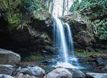 tennessee/pigeon-forge/attraction/grotto-falls-parking