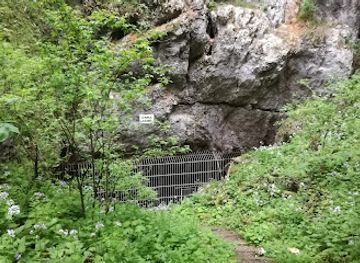 slovenia/postojna/attraction/crna-jama