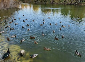 cyprus/governor-s-beach/attraction/u