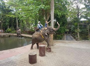 indonesia/bali/attraction/bakas-adventure-elephant-safari-and-rafting