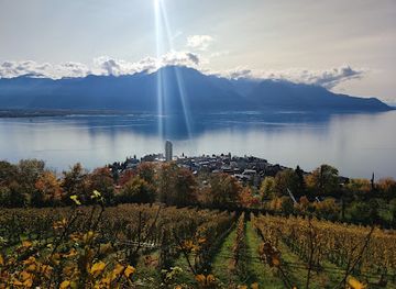 switzerland/vaud/attraction/fete-de-la-tulipe-morges