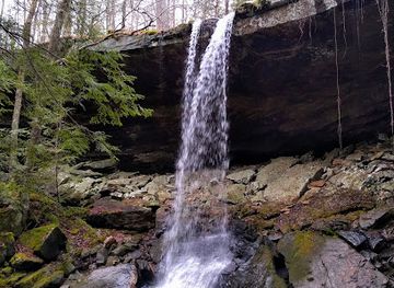 alabama/sipsey-wilderness/attraction/holmes-chapel-falls