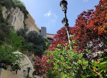 monaco/jardin-exotique/attraction/monte-carlo-jardins