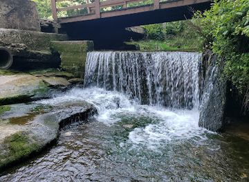 kentucky/elizabethtown/attraction/saunders-springs-nature-preserve