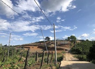 vietnam/dalat/attraction/an-farm