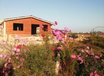 tunisia/tabarka/attraction/sonya-flowers-tunisie