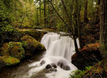washington/northern-cascades/attraction/whatcom-falls-park