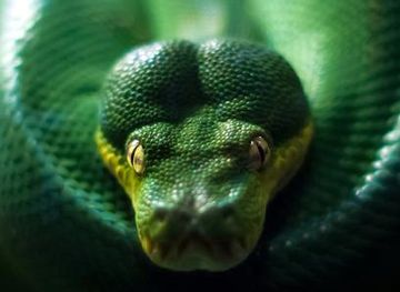 united-kingdom/dundee/attraction/st-andrews-aquarium