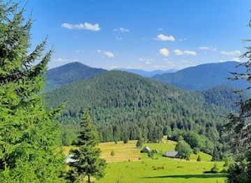 ukraine/synevyr-national-park/attraction/polonyna-nad-ozerom-synevyr