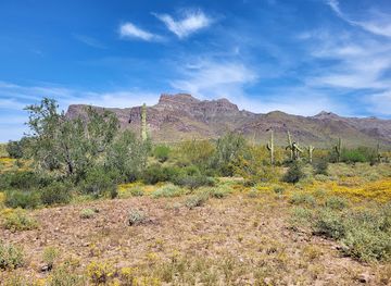 arizona/tonto-national-forest/attraction/broadway-cave