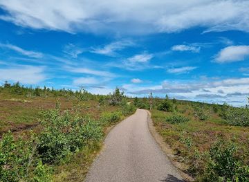 sweden/salen/attraction/hogfjallet-wanderweg