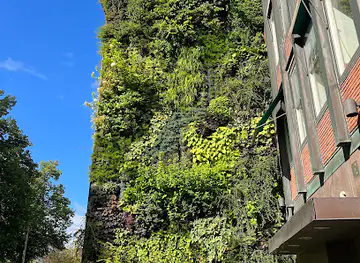 Wall of plants