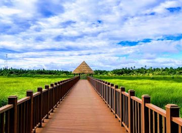 maldives/fuvahmulah-island/attraction/boardwalk-maalegan-fuvahmulah-nature-park