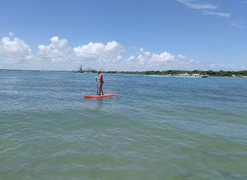 florida/sebastian-inlet-state-park/attraction/saint-sebastian-river-preserve-state-park