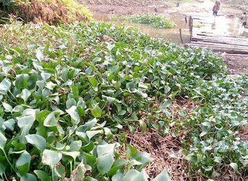 nigeria/ogbunike-caves/attraction/aniolu