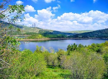 turkiye/ankara/attraction/metu-forest