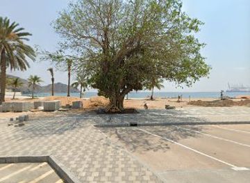 united-arab-emirates/khor-fakkan/attraction/khorfakkan-beach