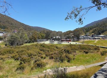 australia/snowy-mountains/attraction/thredbo-bobsled