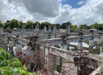 new-zealand/christchurch/attraction/seagull-pit
