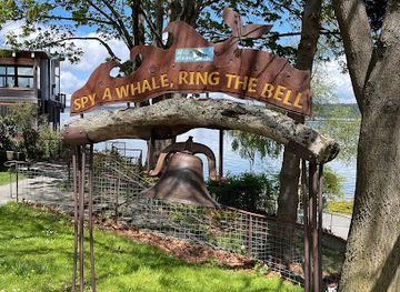 washington/whidbey-island/attraction/hope-the-wishing-whale