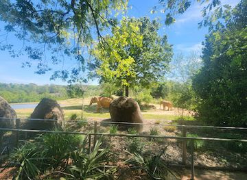 North Carolina Zoo